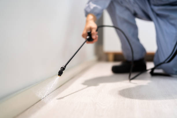 Bed Bug Pre-Treatment Preparation Assessment in Coats