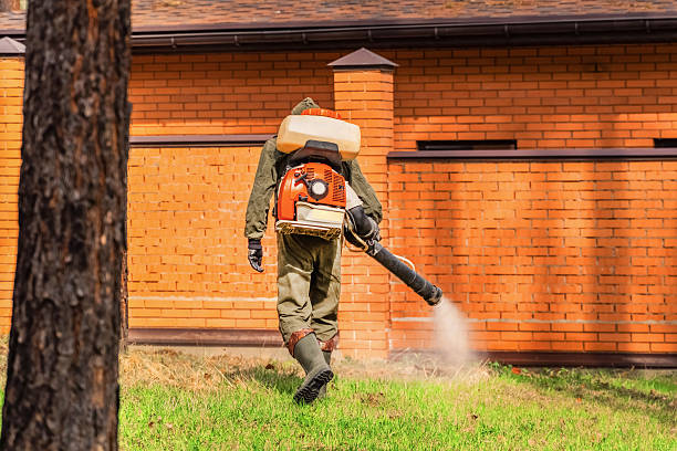 Bed Bug Clearance Verification and Documentation in Coats
